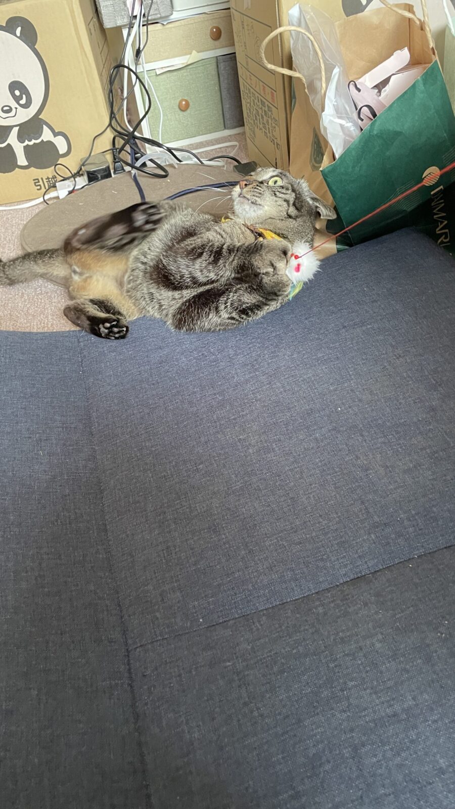 伊勢原市 とんかつくん お客様の声