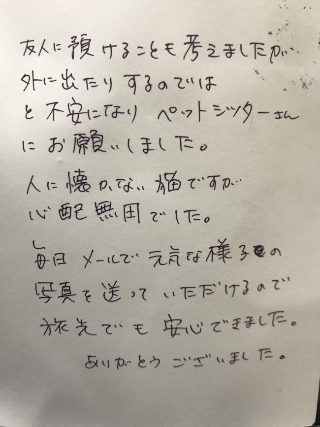 ペットホテル　猫の空大くんと美唯ちゃんのご家族様