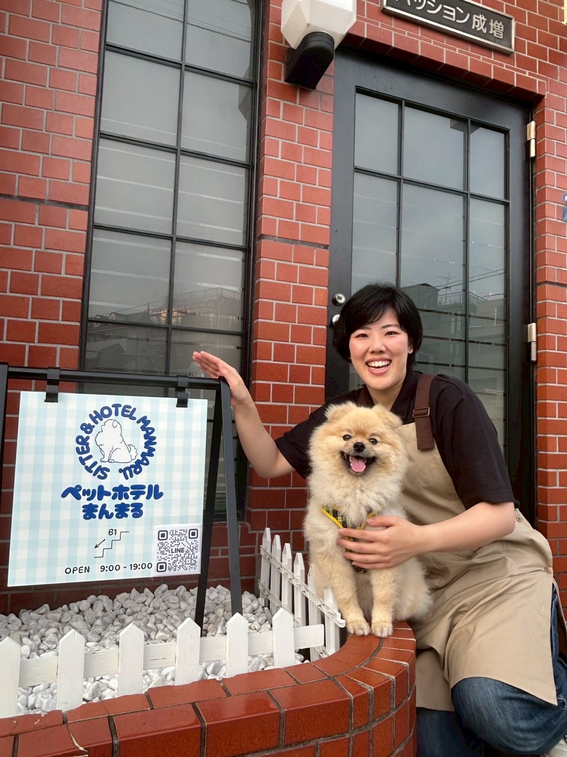 まんまるオーナー　ポメラニアン　看板犬