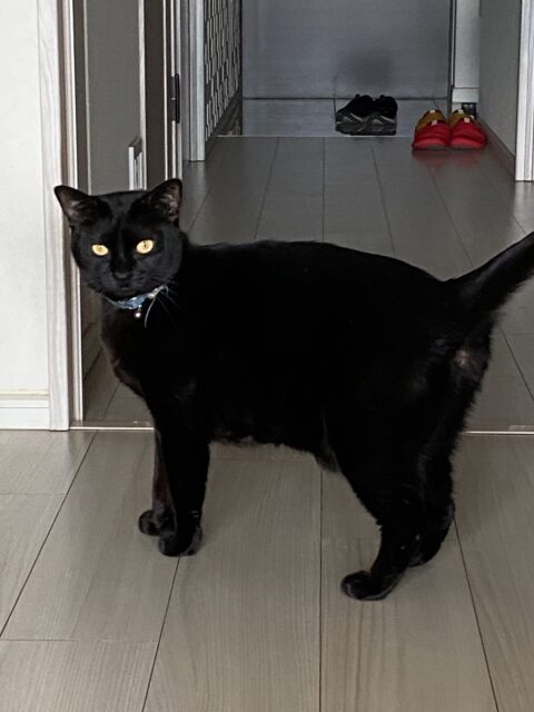 お世話日記 麻生区 たまちゃん あさちゃん