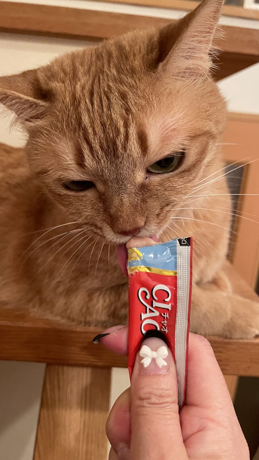 😺少しいじけモード☺️