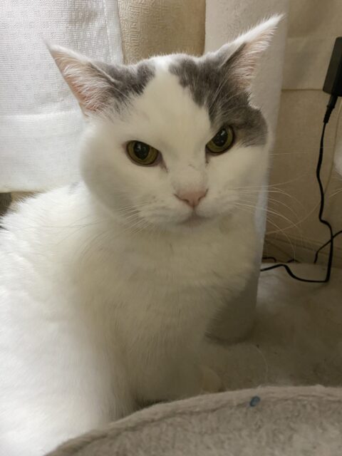 あーびっくりした〜