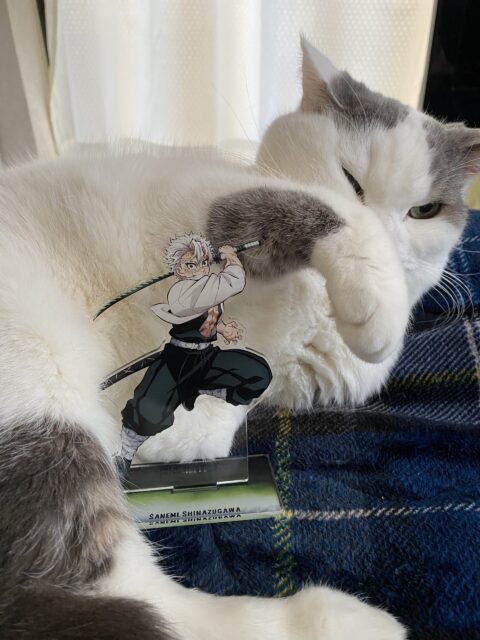 人生初の・・・