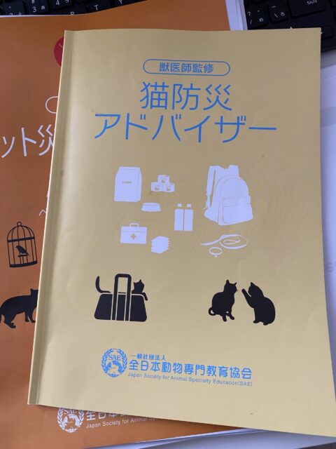 勉強中!試験しました~