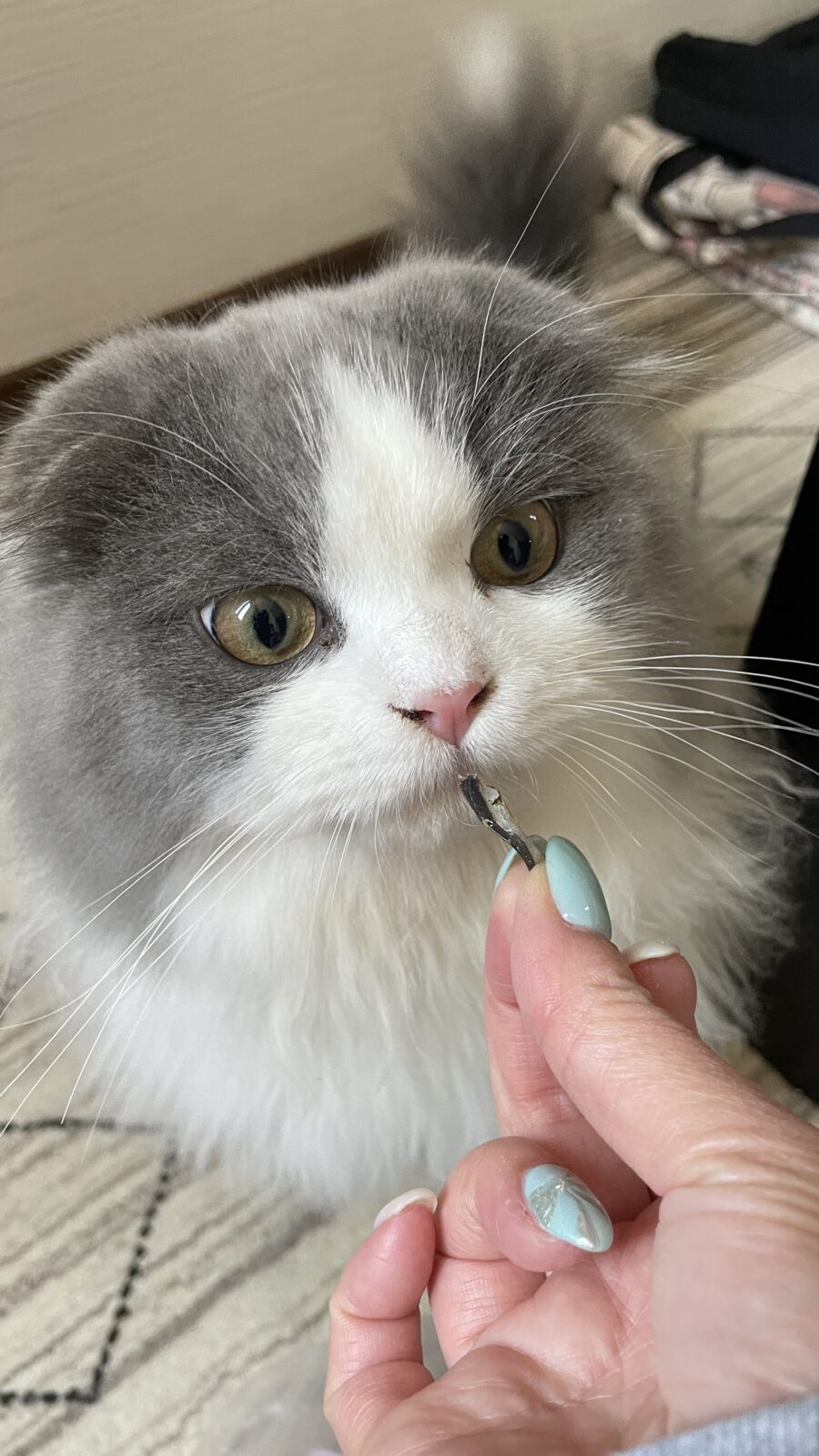 😺大きくなったね✨