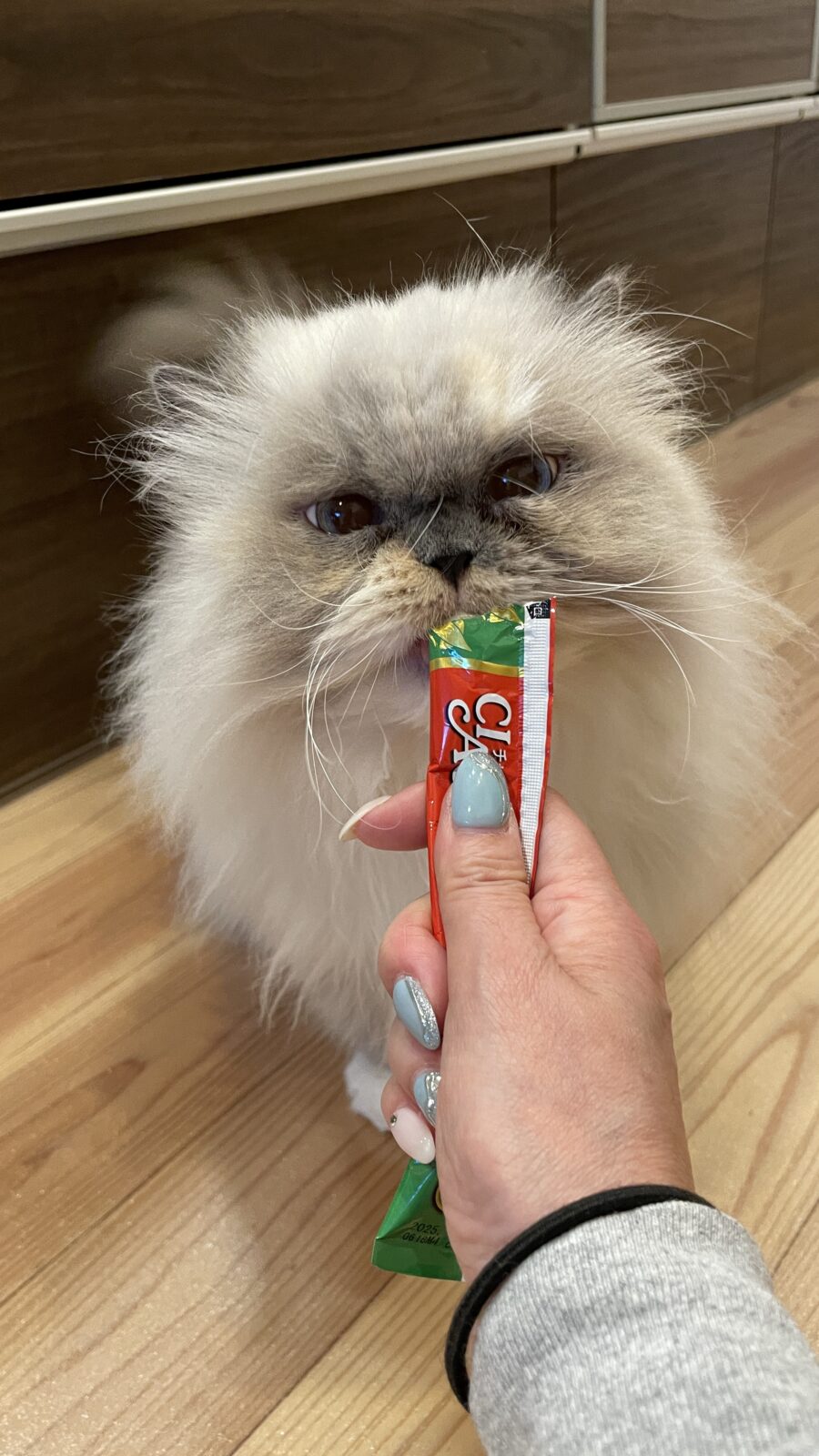 伊勢原市 ぽんずちゃん とと丸くん リピートのご依頼③