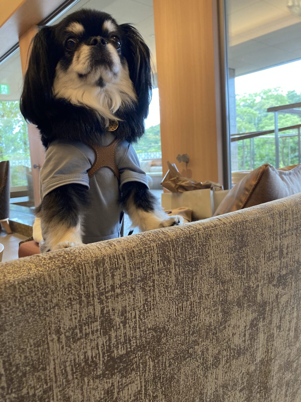 ☆要チェック☆GW期間の訪問費用について