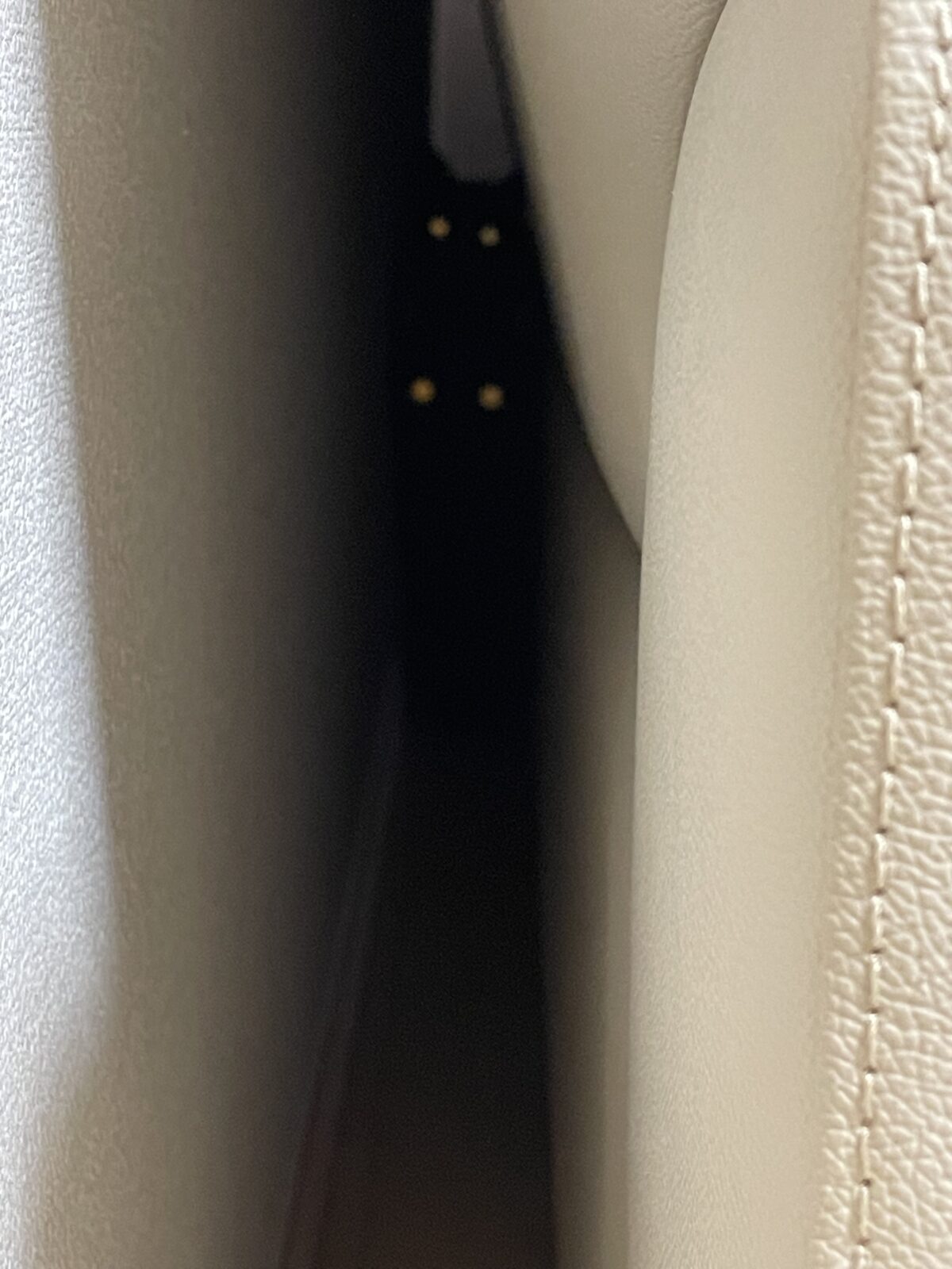 【習志野市】ちーくん、こーくんのお世話報告