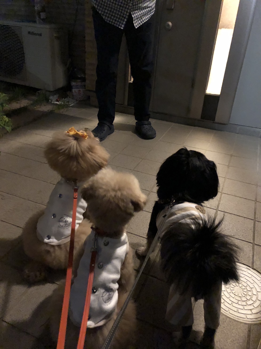 リードの重要性　種類は豊富！TPOで変更