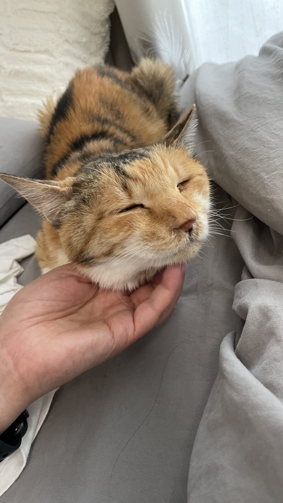 😺初めましてのお友達☺️