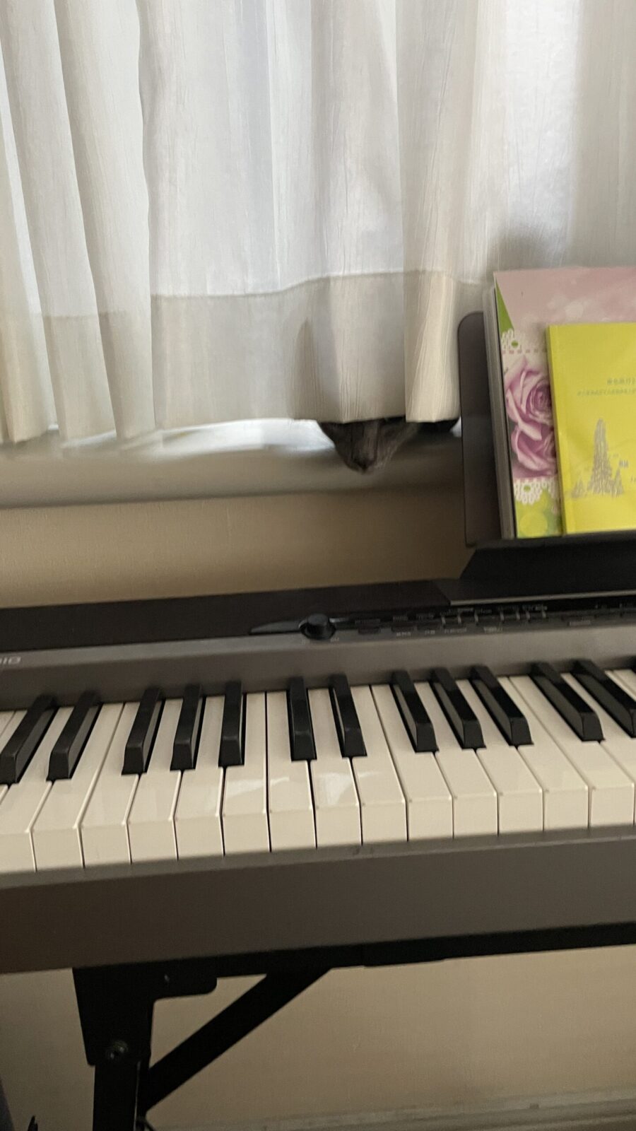 😺固まる💦☺️