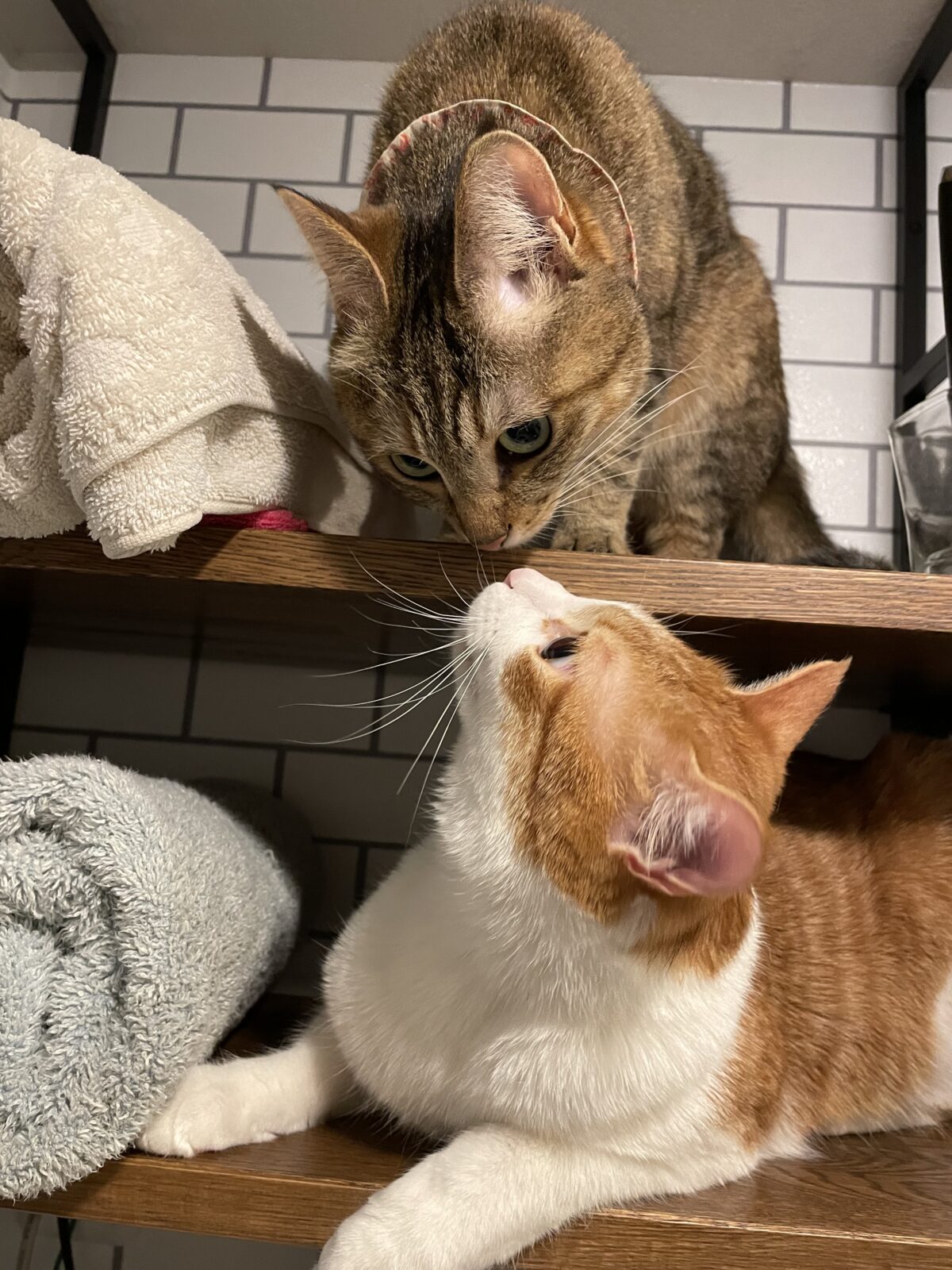 Instagram始めました