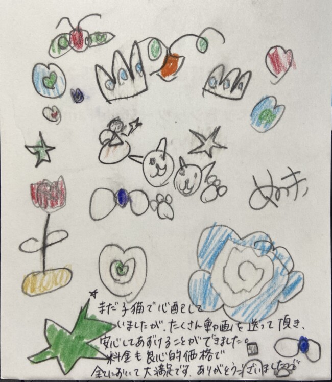 ペットホテル　猫ちゃん　米ちゃんと麦ちゃんのご家族様