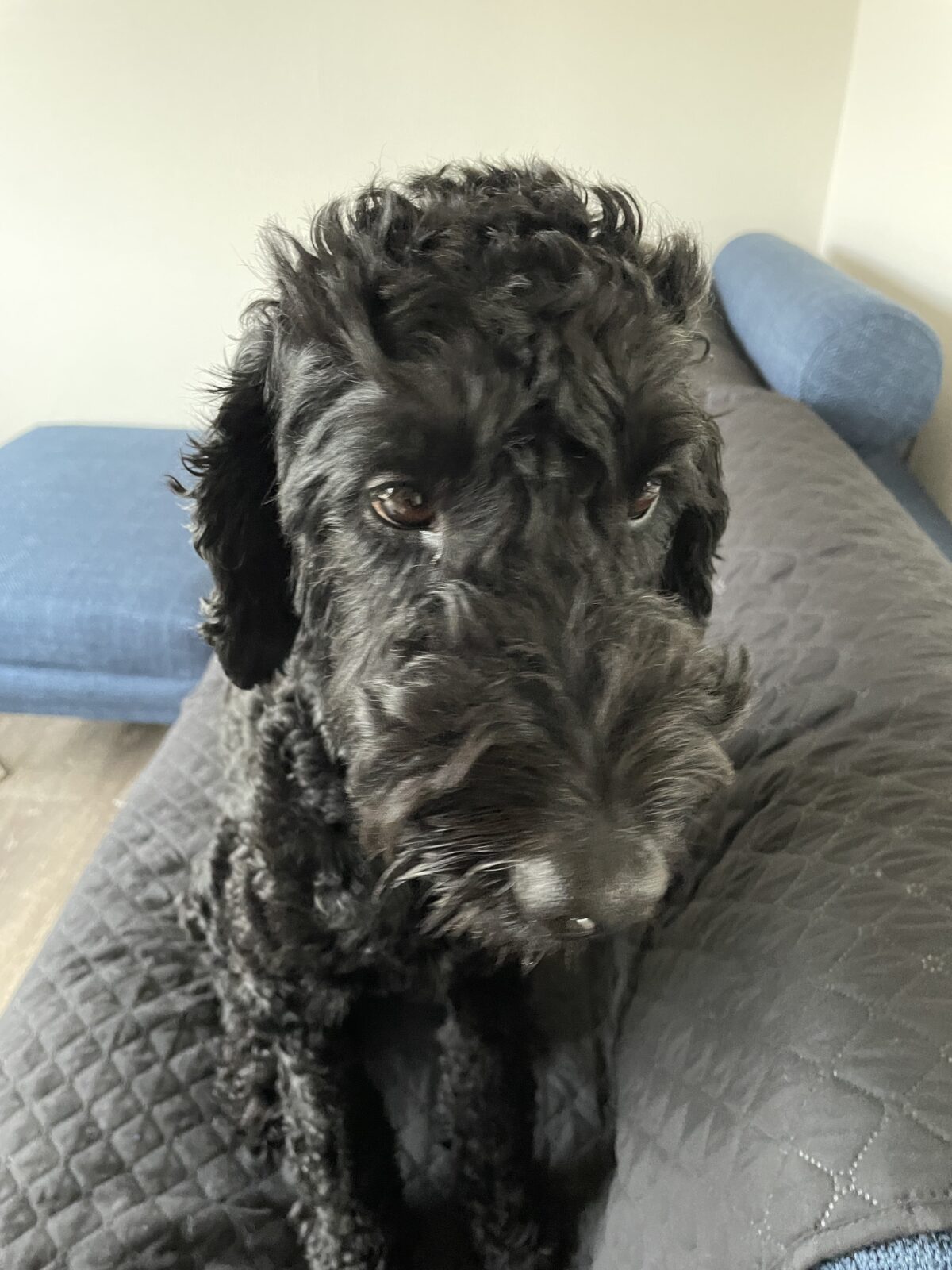 千葉市　アイオンくんのお世話報告