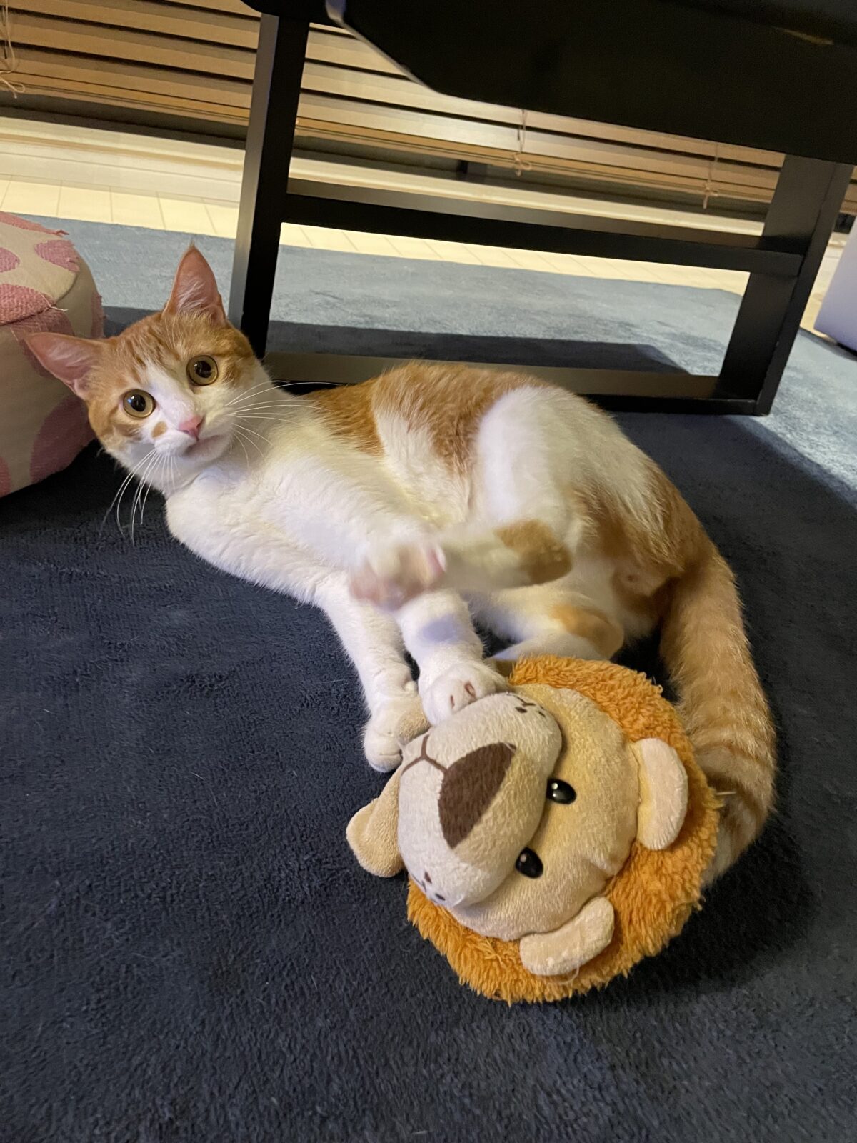 夏季繁忙期間のお知らせ