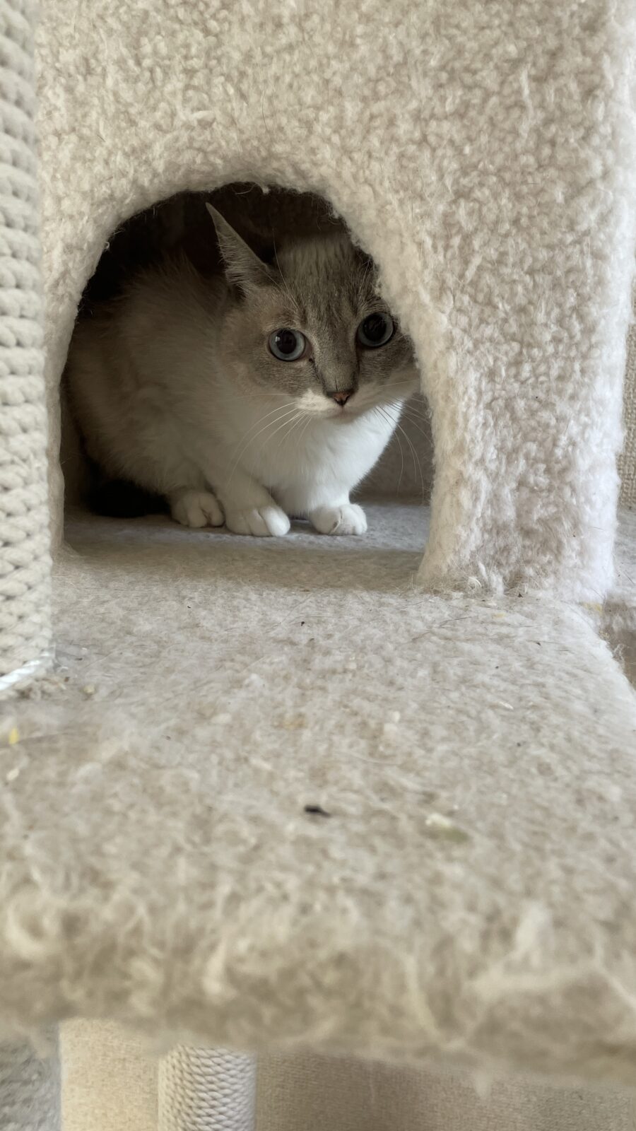 😺怖いよね💦