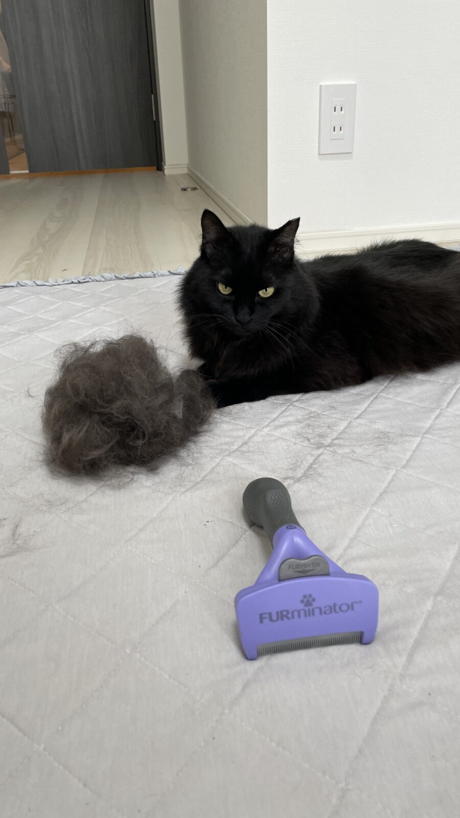 😺お尻トントントン✨