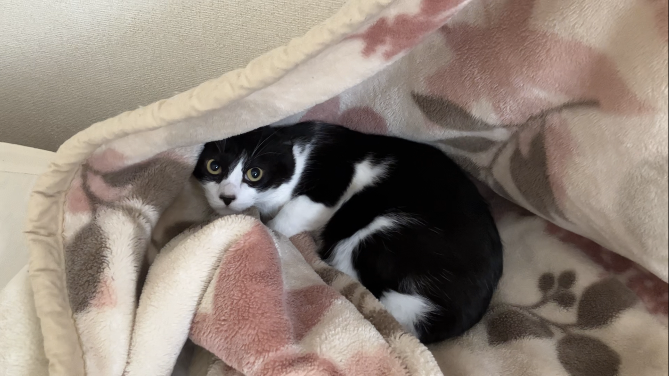 伊勢原市 フーくん お世話ご紹介