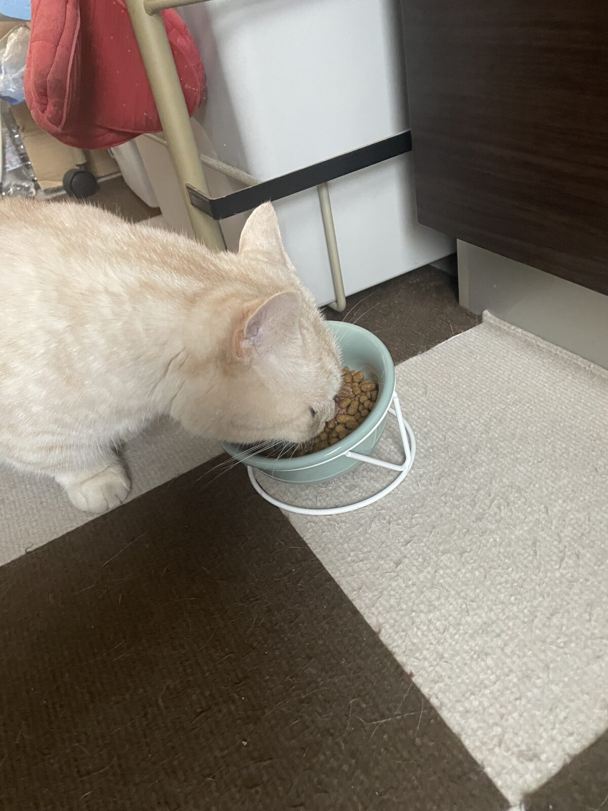 サク君　リコちゃん　ショートコースご利用♪