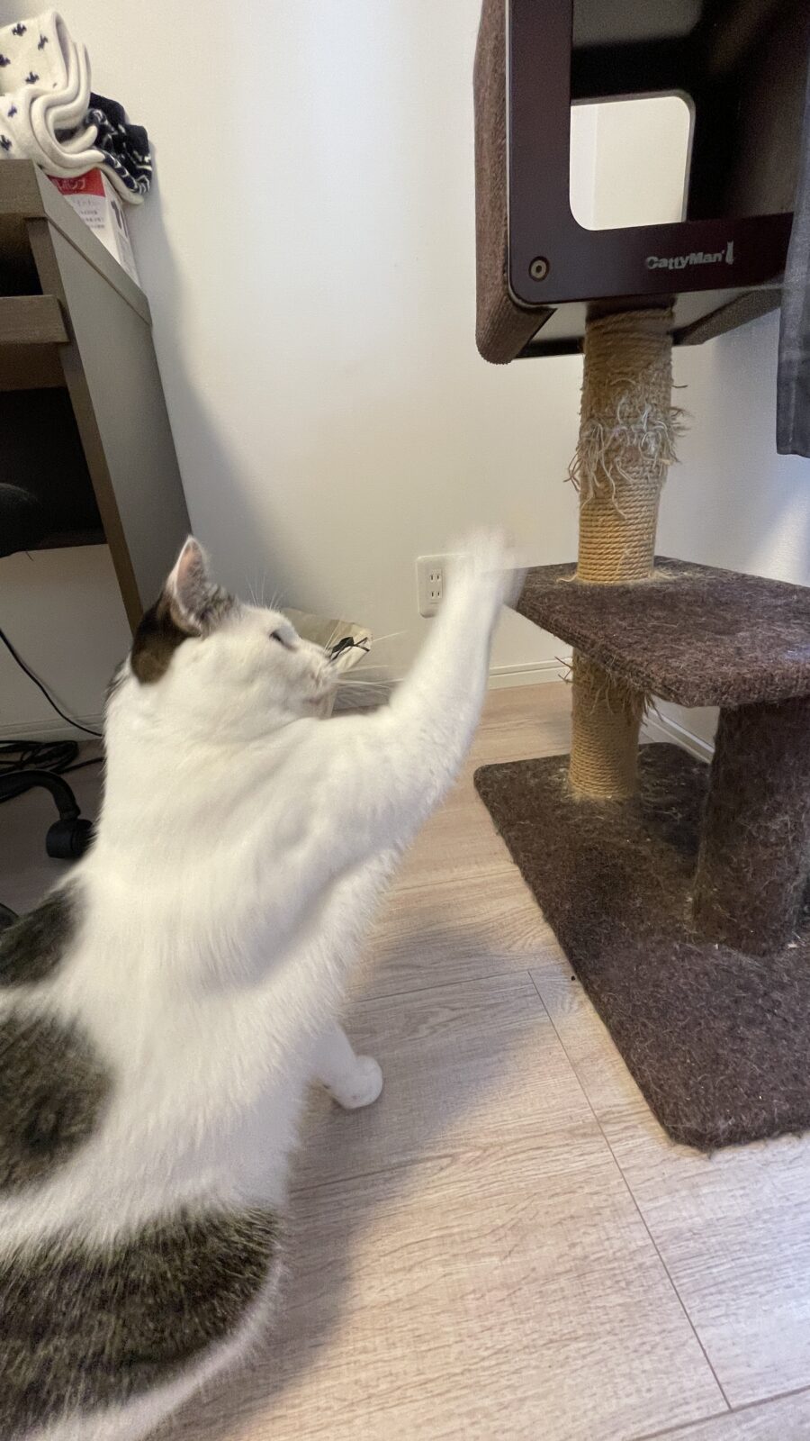 😺ウェとフード大好きだよね☺️