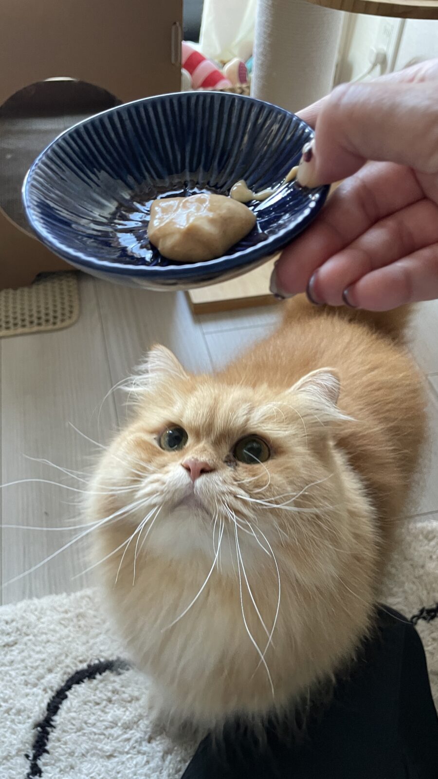 😺初めましてのお友達✨