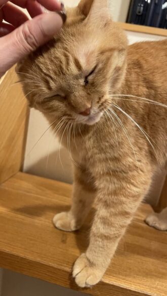 😺まったりタイム☺️