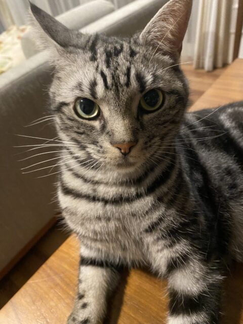 お世話日記 麻生区 りんたろーくん