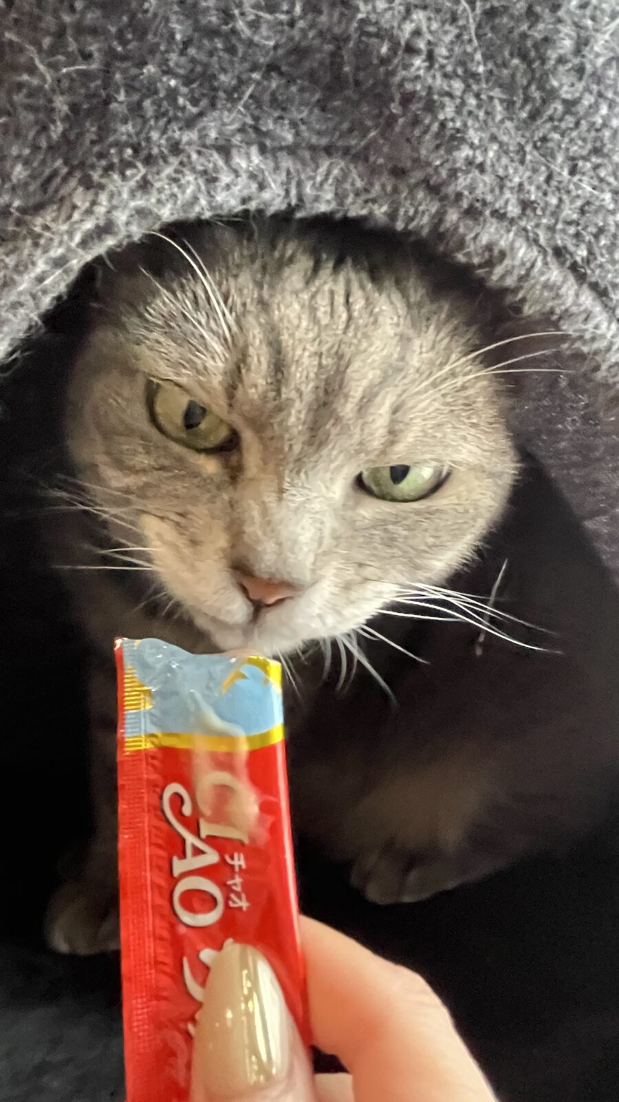 😺距離が少しずつ縮まったかな☺️