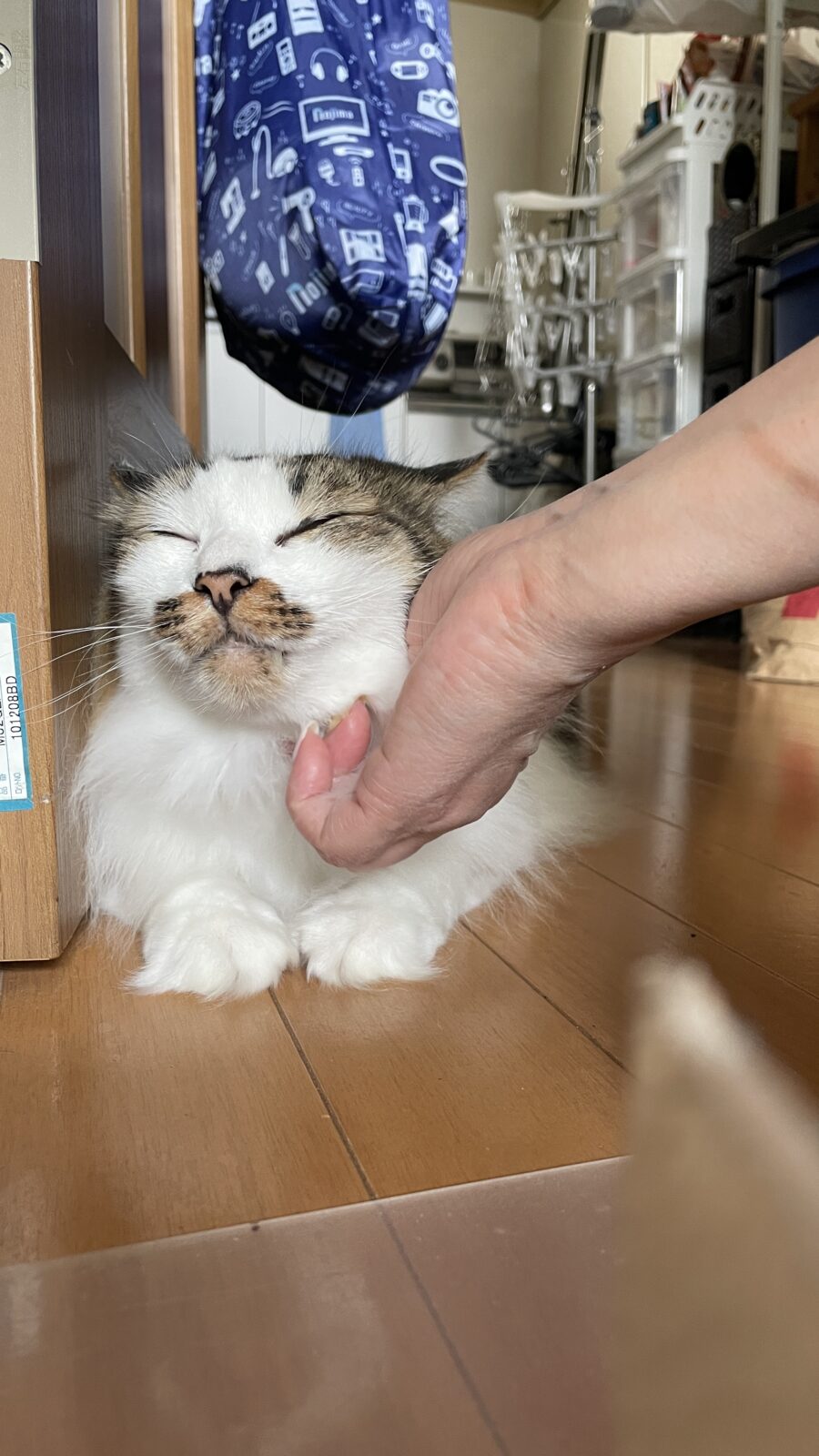 😺まったりと☺️