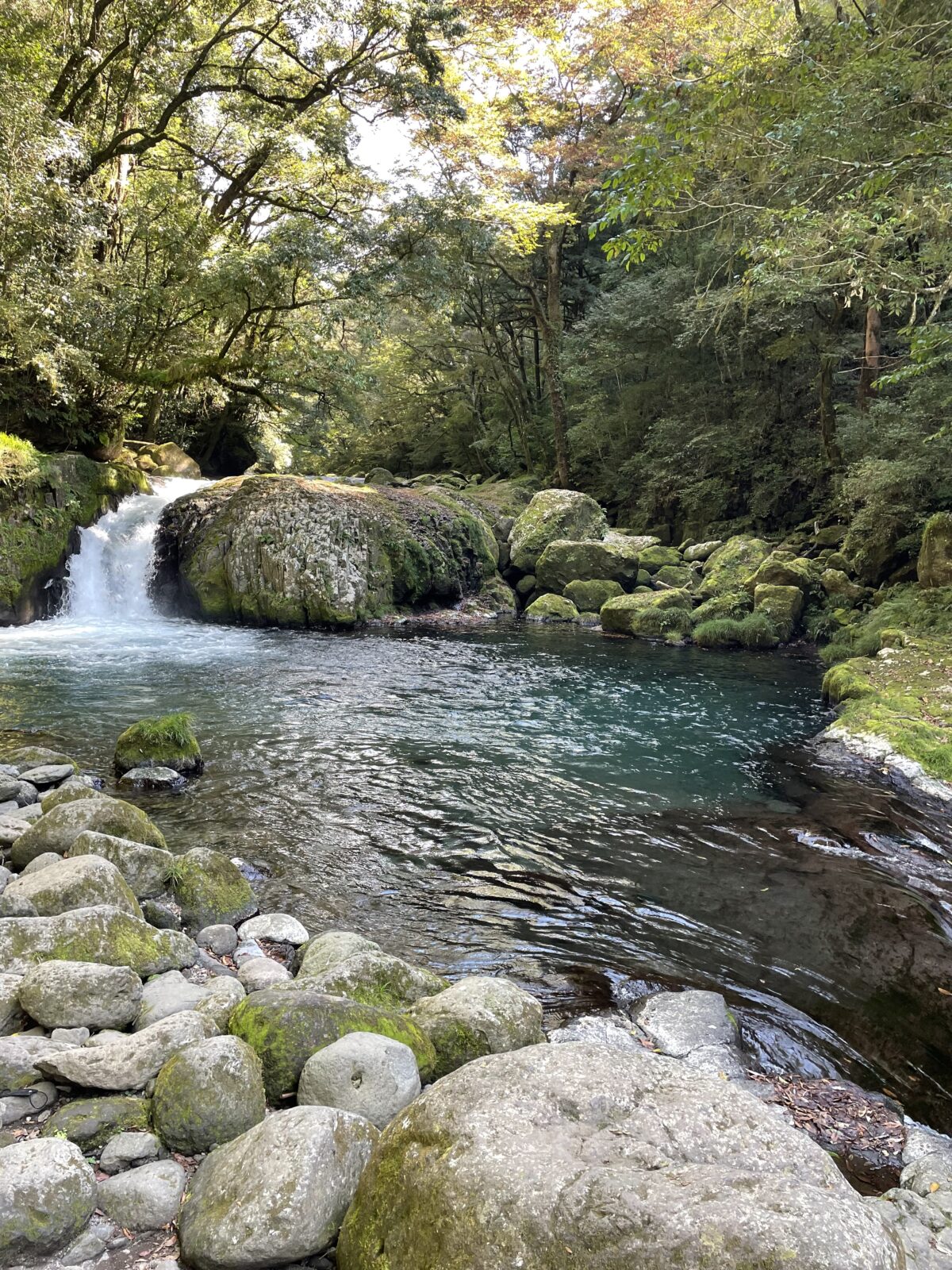 年末年始繁忙期のお知らせ