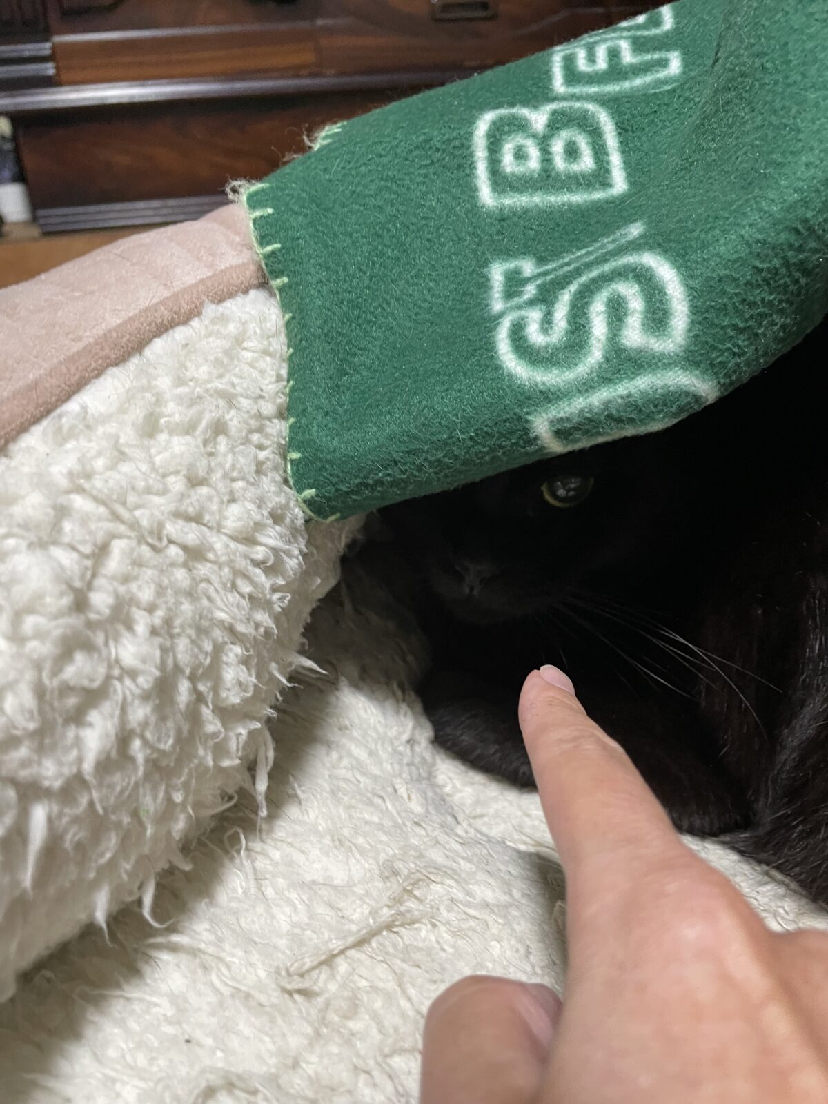 【船橋市】虚空くんのお世話報告