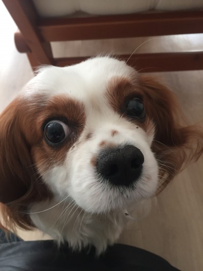 今日のお散歩〜