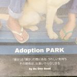 先日のイベント🎶🎶🎶