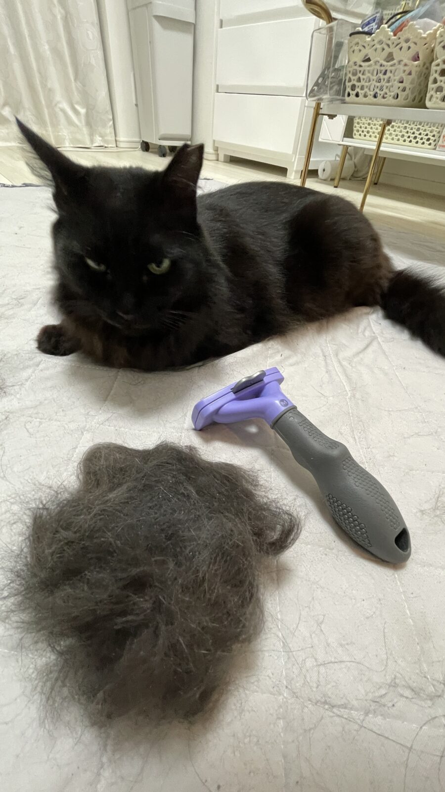 😺お尻お願いします😁