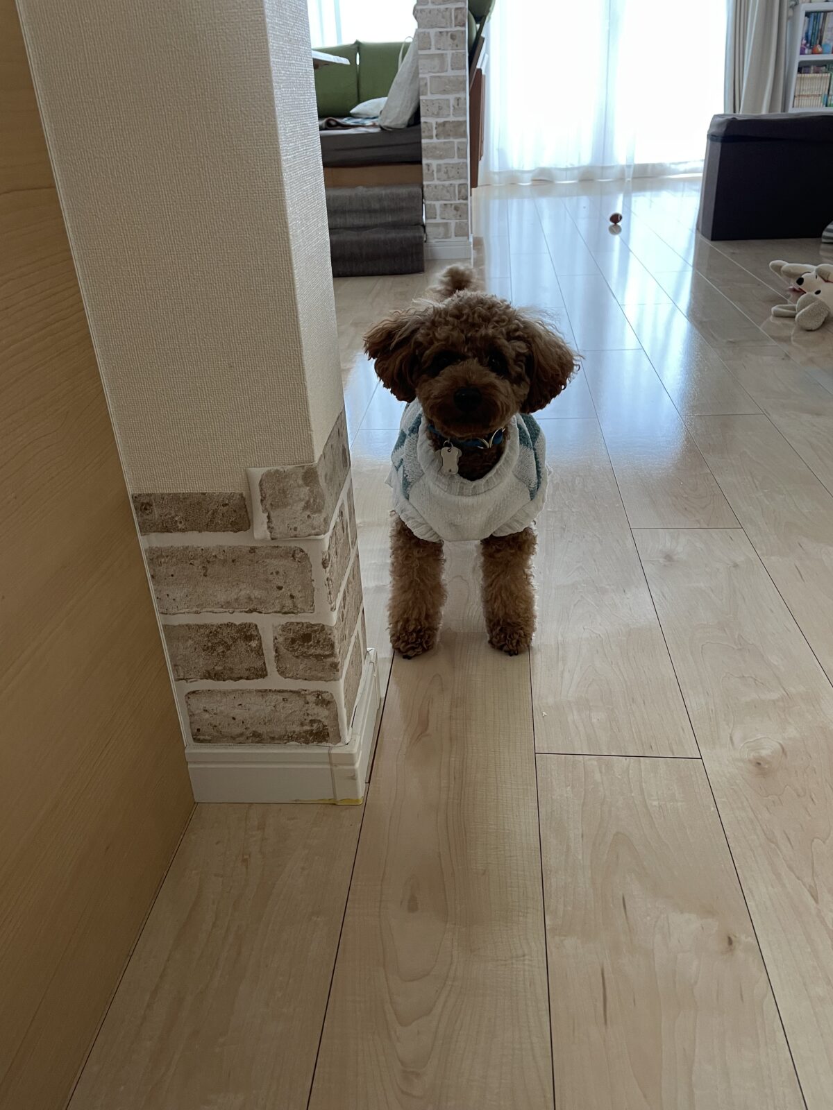 【千葉市】アオくんのお世話報告