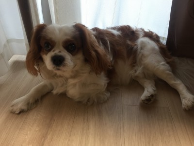 今日のシッティング✨✨✨