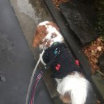 昨日は雨☂️模様💦