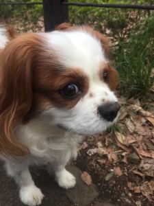 ご機嫌で〜す🐾