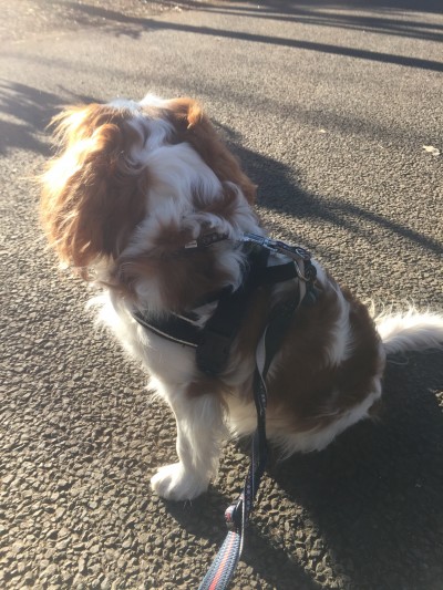 黄昏ちゃってる〜😋