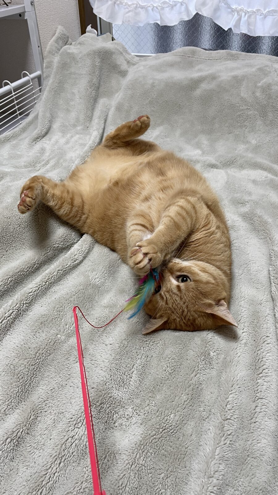 😺初めましてのお友達✨