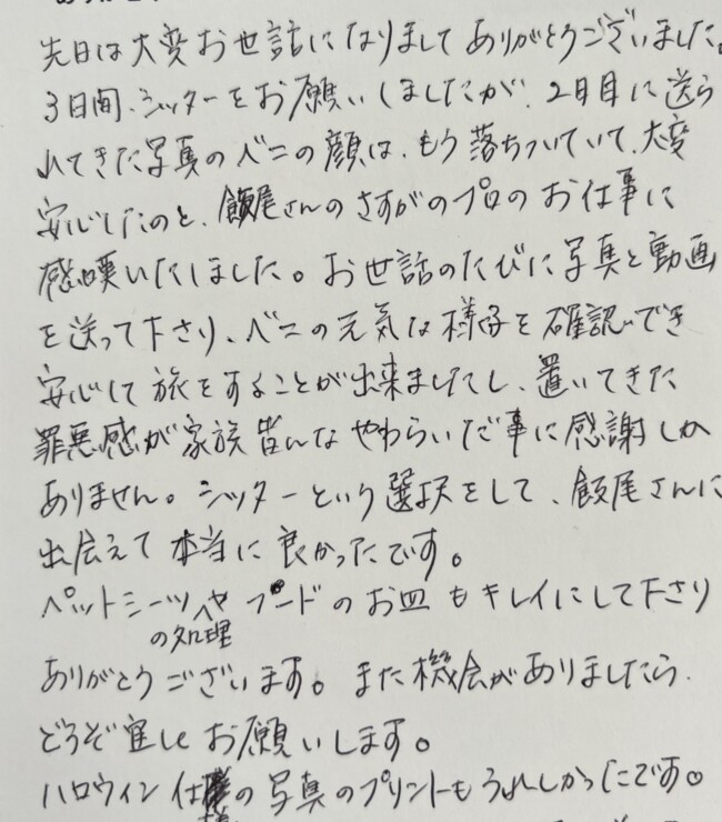 ペットシッター　ボストンテリアのベニちゃんのご家族様