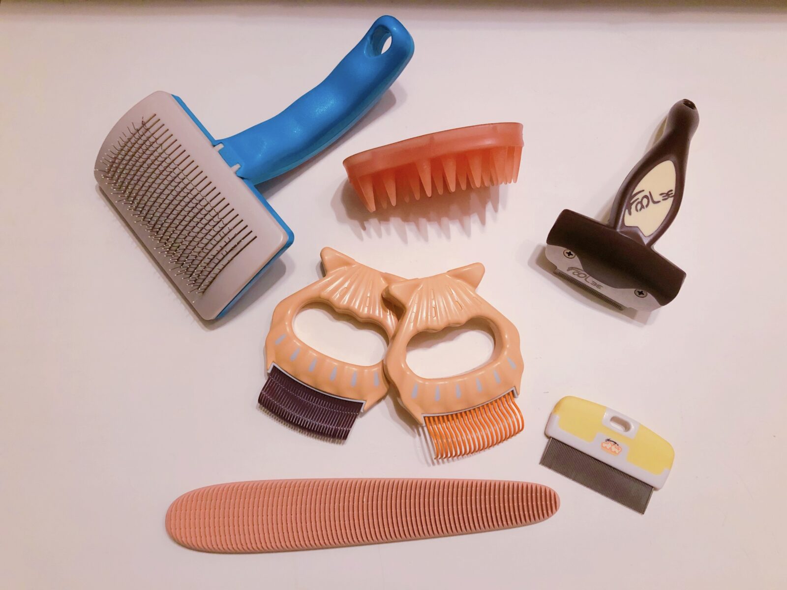 猫のブラッシング