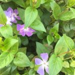 歩いたね〜🐾🐾🐾