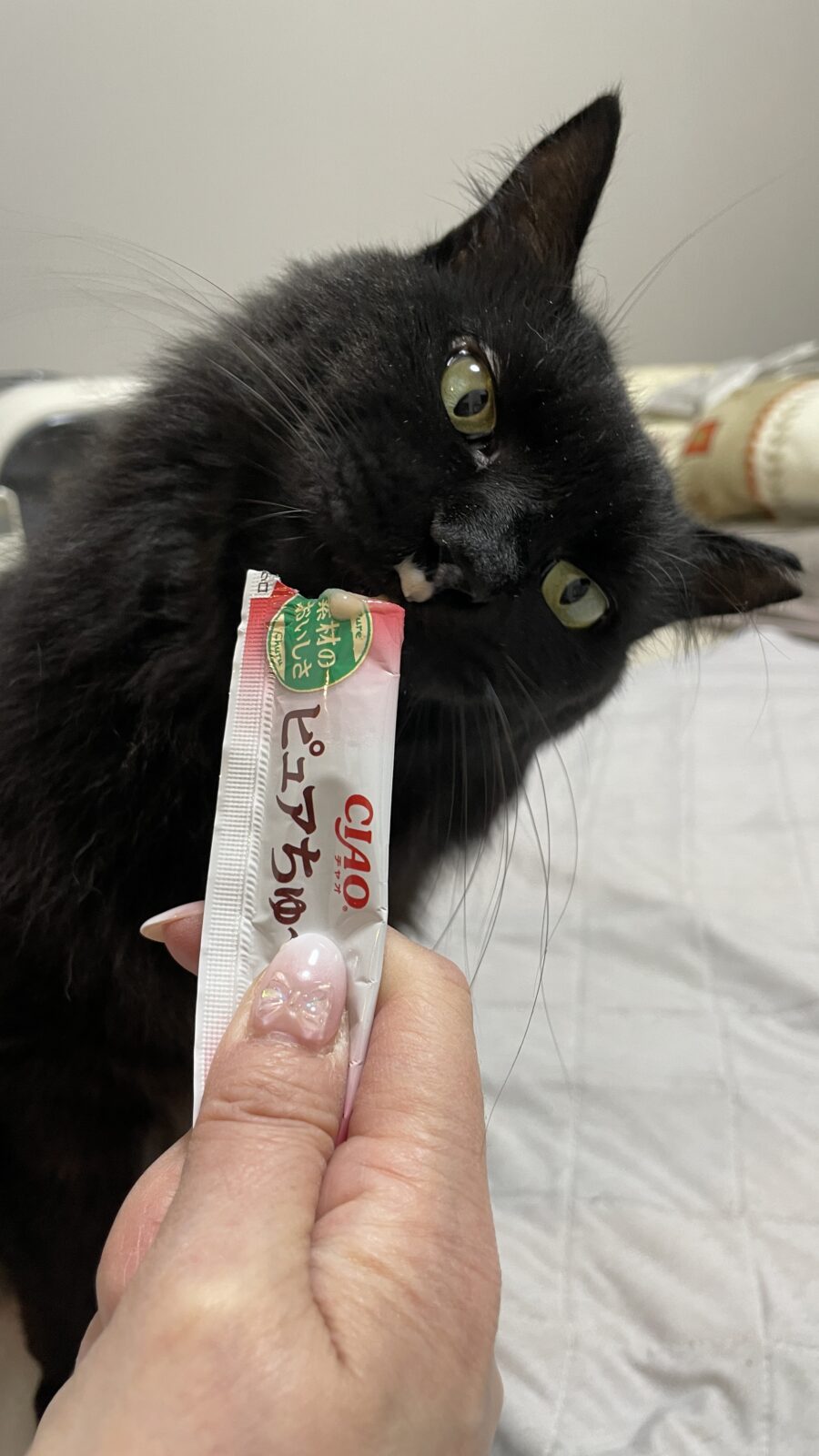 😺お尻トントントン☺️