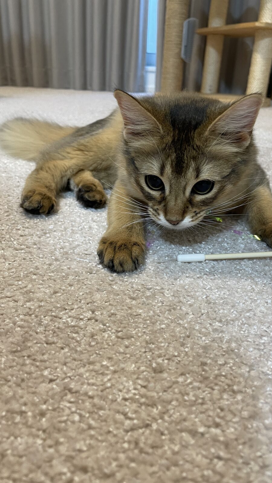 😺初めましてのお友達✨