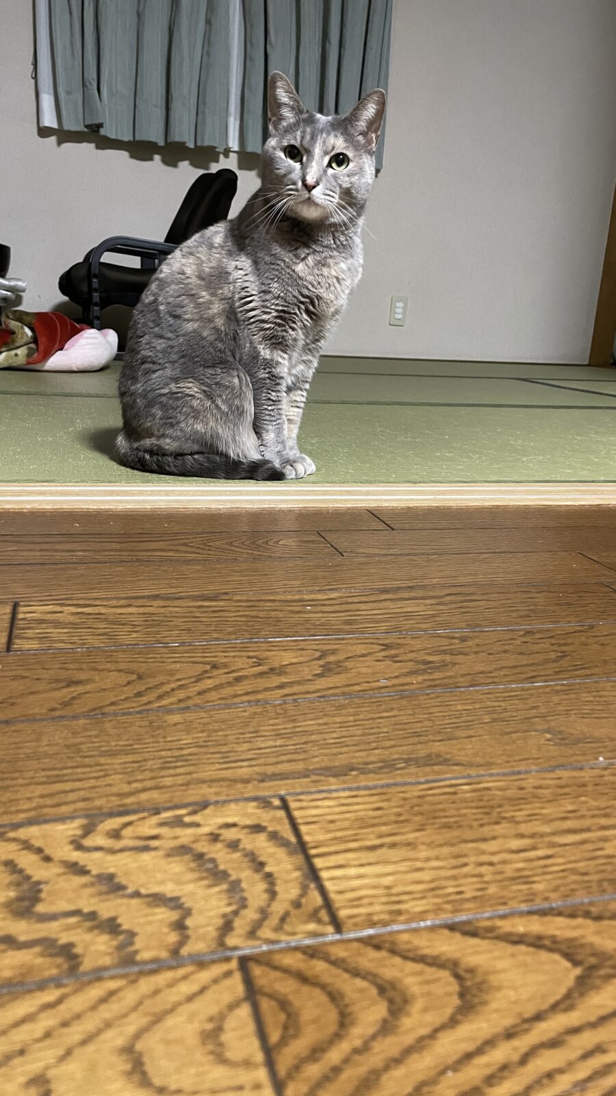 出て来てくれたのね✨