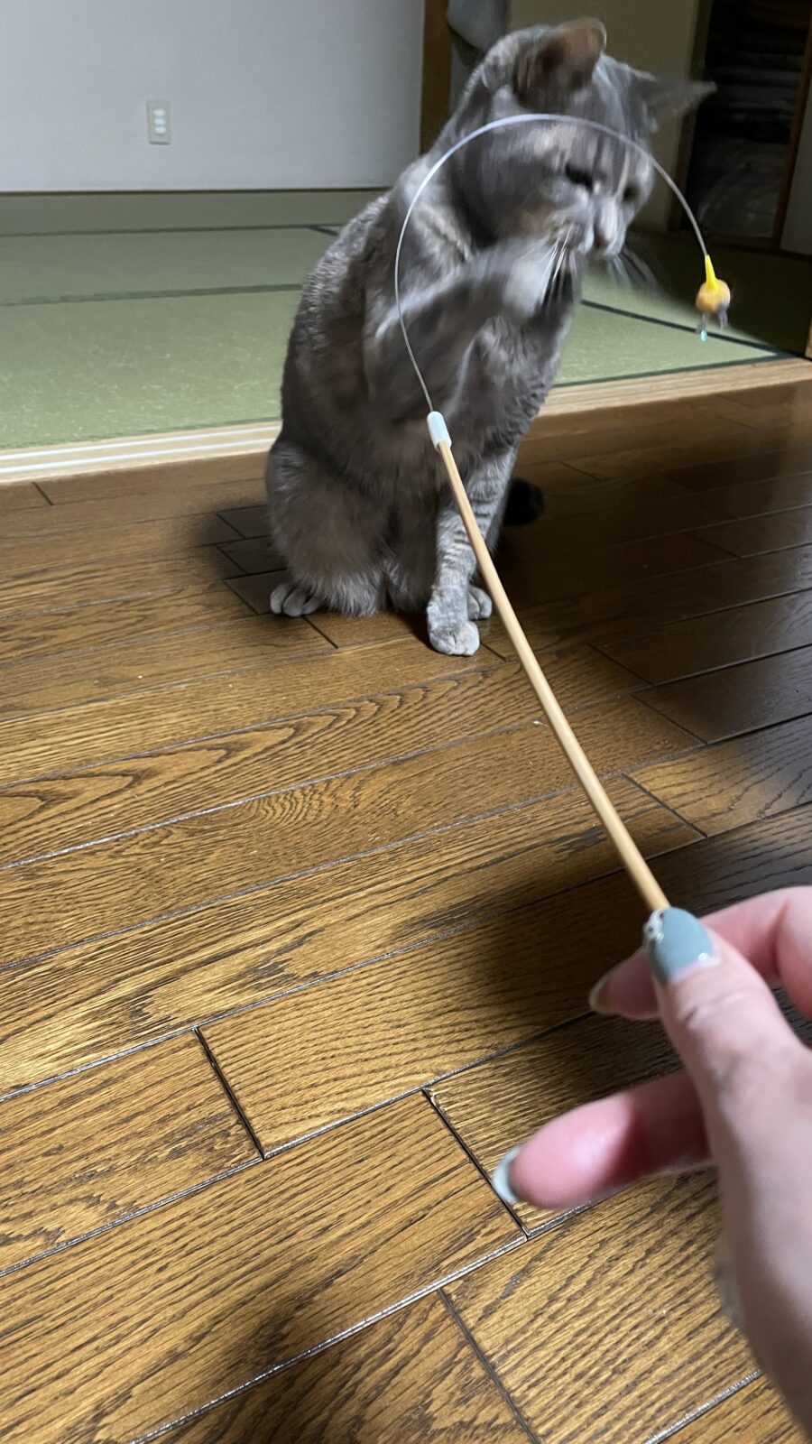 休業日のお知らせ