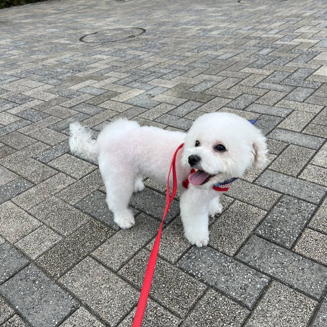 💕✨スマイル100%💕✨