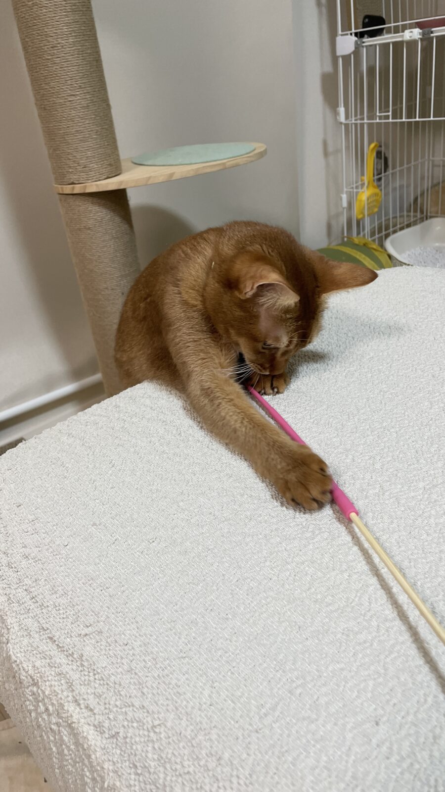 😺初めましてのお友達✨