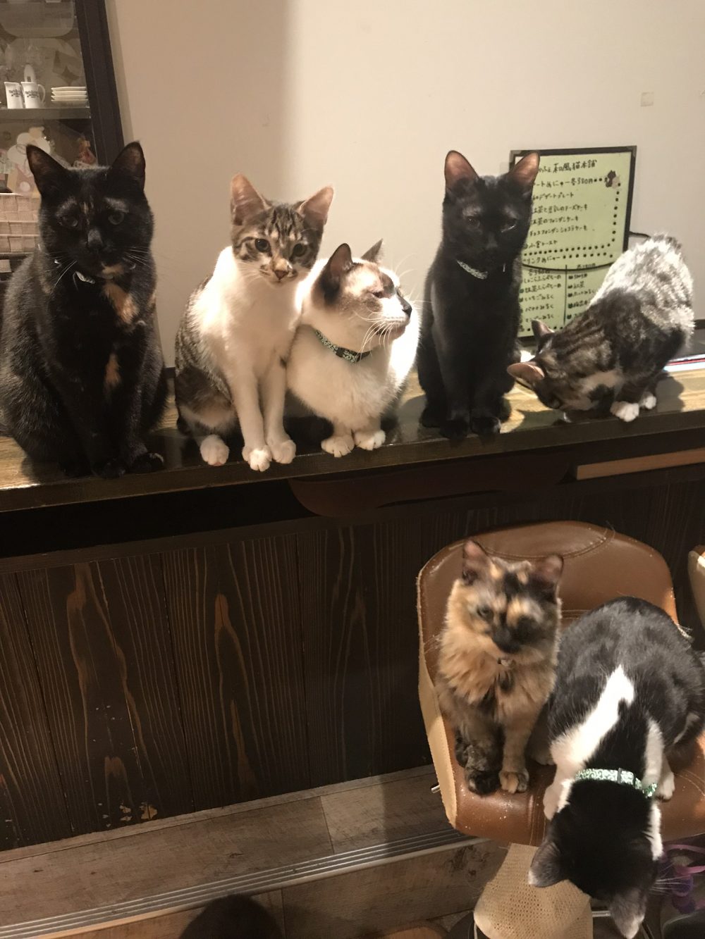 2019年謹賀新年御挨拶